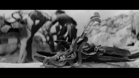 Rekopis znaleziony w Saragossie / The Saragossa Manuscript (1965)