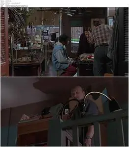 American Buffalo (1996)