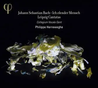 Collegium Vocale Gent, Philippe Herreweghe - J.S.Bach: Ich elender Mensch & Leipzig Cantatas (2014) [Official Digital Download]