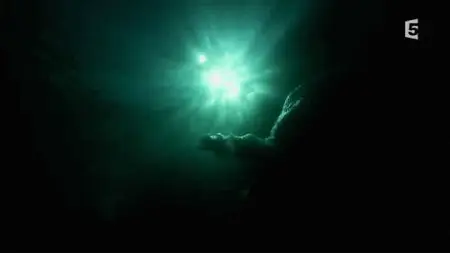 Voyage Au Coeur Des Glaces (E01/05) Dans Le Grand Bain (2013)