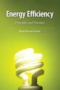 Energy Efficiency - Principles and Practices (Repost)