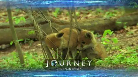 Journey with Dylan Dreyer S02E22