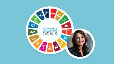 How To Identify And Deliver Sustainable Development Goals