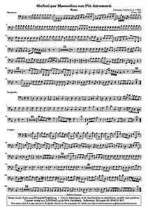 GiulianoG - Sinfoni per Mannolino con Più Istromenti (Gimo 153)