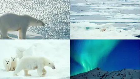 IMAX - To the Arctic (2012)