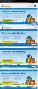 Rapid WordPress Blog - build a Boss WordPress website FAST