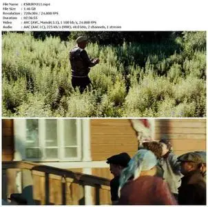 Utomlennye solntsem 2 (2011)