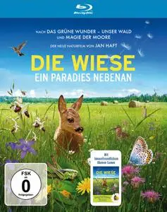 Die Wiese (2019)