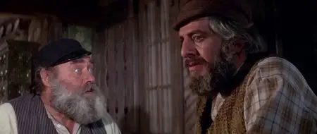 Fiddler on the roof (1971)