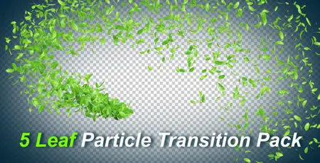 5 Leaf Particle Transition Pack - Motion Graphics (VideoHive)