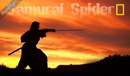 National Geographic: Samurai Spider (2007)