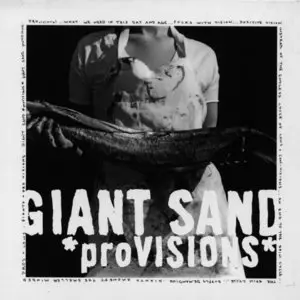 Giant Sand - *proVISIONS* (2008)