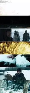 The Grey (2011)