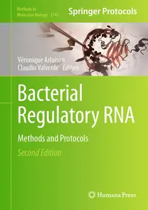 Bacterial Regulatory RNA: Methods and Protocols (Methods in Molecular Biology, 2741)