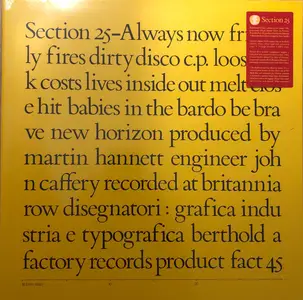 Section 25 - Always Now (Remastered) (1981/2024)