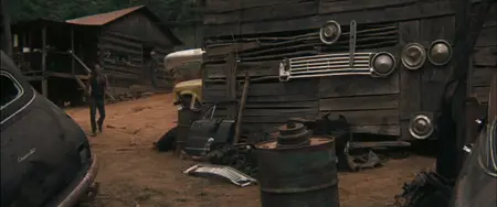 Deliverance (1972)