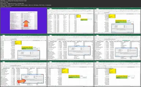 The Excel Workshop for Business Professionals