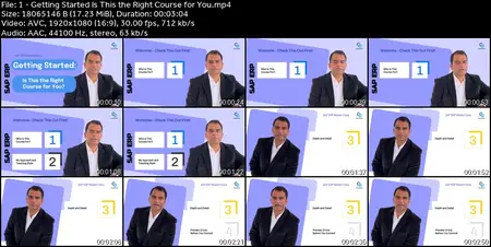 SAP ERP Master Class: Essential Skills for Business Users