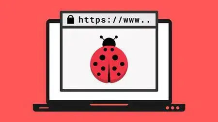 Learn Bug Bounty Hunting & Web Security Testing From Scratch