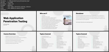 Web Application Penetration Testing