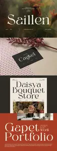 Saillen Elegant Serif Font JDTMF75