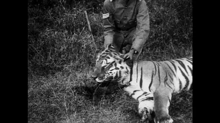 BBC - My Tiger Family (2024)