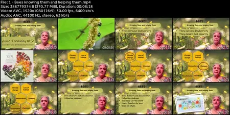 Bee Ecology: a Simple Guide for Bee Caring in your Backyard