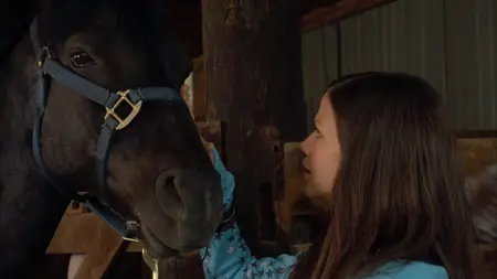 Flicka 2 (2010) [MultiSubs]