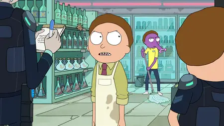 Rick and Morty S03E07