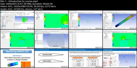 Mastering ANSYS CFD from zero to expert