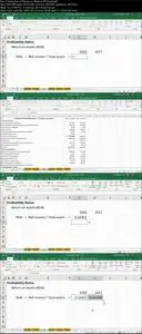 Financial Analysis in Excel: Profitability Ratios