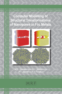 Computer Modelling of Structural Transformations of Nanopores in Fcc Metals