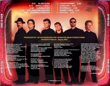 Spyro Gyra - Point Of View
