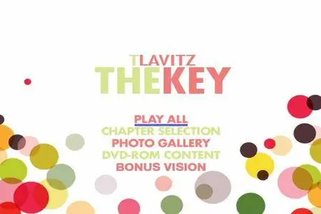 T Lavitz - The Key (2010)