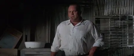 Lady in Cement (1968)
