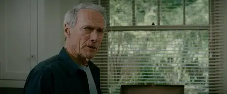 Une nouvelle chance (2012)