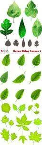 Vectors - Green Shiny Leaves 2