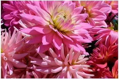 PixelGenius PhotoKit  v1.2.4