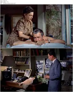 Rear Window (1954)