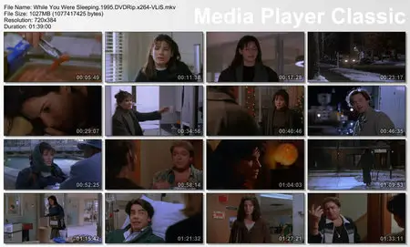 While You Were Sleeping (1995)