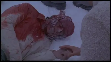 Alive (1993)