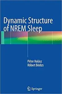 Dynamic Structure of NREM Sleep (Repost)