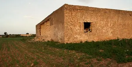 BBC Our World - Tunisia: A Woman's Share (2019)