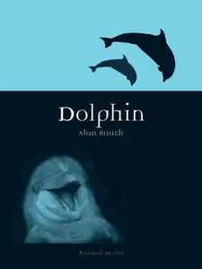 Dolphin (repost)