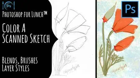 Photoshop for Lunch™ - Color a Scanned Sketch - Blends, Brushes, Layer Styles