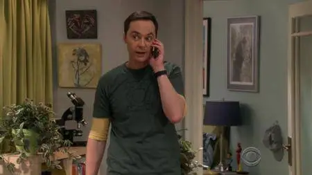 The Big Bang Theory S11E13