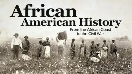 TTC Video - African American History: From the African Coast to the Civil War