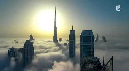 (Fr5) Arabie sauvage (2014)