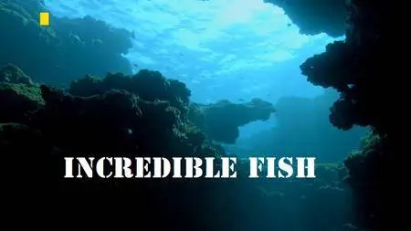 National Geographic - Incredible Fish (2017)