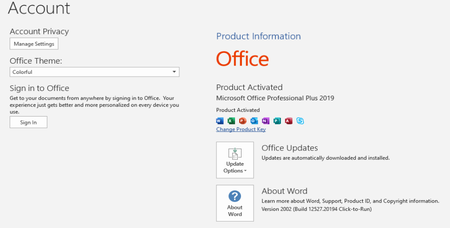 Microsoft Office Professional Plus 2019 - 2003 (Build 12624.20320) Multilanguage